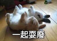 https://images.plurk.com/5P1EGFGGi50AHi8TkrBXcW.jpg