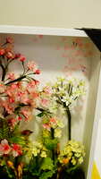 https://images.plurk.com/5P1p4ynAiJrW5Gd7UUkmeE.jpg