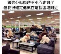 https://images.plurk.com/5P2ewxw2P3k7N4UItf3kjD.jpg
