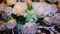 https://images.plurk.com/5PFJGGbGIheyFZcPy2LMjX.jpg