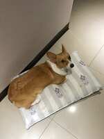 https://images.plurk.com/5PLS6nFyUQkv0VplcyXNEd.jpg