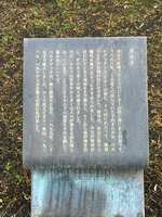 https://images.plurk.com/5PMlRP1pBoAwSHpChmLlod.jpg