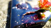 https://images.plurk.com/5PMwLvol8qj1bh3xgyoGaV.jpg
