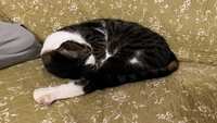 https://images.plurk.com/5PPP0K1LT6oMtOpE6xcpAW.jpg