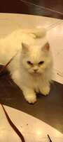 https://images.plurk.com/5PSllP33fNfyazgjPMysF5.jpg
