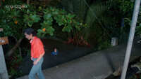 https://images.plurk.com/5PYoYQpP0Dj05fk6AgON0i.jpg