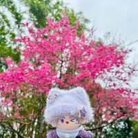 https://images.plurk.com/5PfJziR51JQIQ6UijJ9stO.jpg