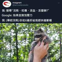 https://images.plurk.com/5Pg04VbLIgWHCkysyxt5Dz.jpg