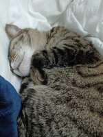 https://images.plurk.com/5PlVaan6NcOn3Uk5o6DYeG.jpg
