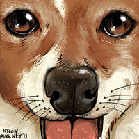 https://images.plurk.com/5PqPtQjvffSwNu9tl0qFm.jpg