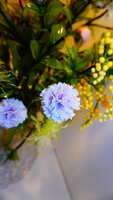 https://images.plurk.com/5Ptd9QbnAVOXTQTnaqELhs.jpg