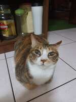 https://images.plurk.com/5Q5EFQVwvEtO6JI5JuFGhj.jpg