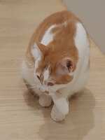 https://images.plurk.com/5QDn1BnpuwJ6mK17sbUGCG.jpg