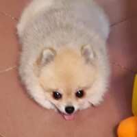 https://images.plurk.com/5QJgzUV6OLaX7enX8xeEGU.jpg