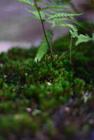 https://images.plurk.com/5QR5DOspsvpxdAWdZZi49N.jpg