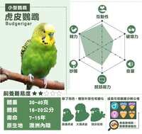 https://images.plurk.com/5QZTLDLVU6QP9o8juA0S2m.png