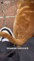 https://images.plurk.com/5QheuwxxDp3gmgRQQmxlbx.jpg