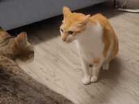 https://images.plurk.com/5Qhl6Ujgb9BgbUQrSxmQCZ.gif