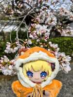 https://images.plurk.com/5Qkyhst6LkTRbPWkhiXEG4.jpg