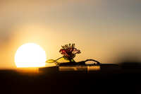 https://images.plurk.com/5QoM5qRFdDEGvtUdqEFxRe.jpg