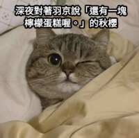 https://images.plurk.com/5QpkusxaIl9uOckNRAevE4.png
