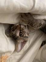 https://images.plurk.com/5QqvOuxRzDQ3DzgIz5V3pC.jpg