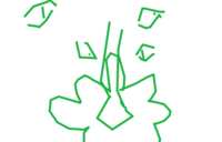 https://images.plurk.com/5QsGftmiTlRqg4RGNXppKn.png