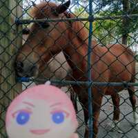 https://images.plurk.com/5R68SAPbucDmICf9EOsb14.jpg