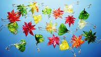https://images.plurk.com/5R7qbx5h5zwa76M5guz54i.jpg