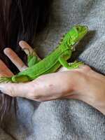 https://images.plurk.com/5RAZeaDJaYG2wgwkqLleJZ.jpg