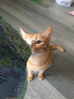 https://images.plurk.com/5RH5mLabKGHd36GhHWAa2W.jpg