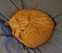https://images.plurk.com/5RJeTUOn9QiAvh3F2FczZe.jpg