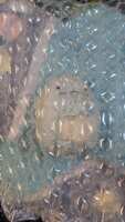 https://images.plurk.com/5RcYANEjpnkRV7sIcUzsty.jpg