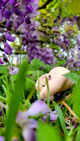 https://images.plurk.com/5Rmcmn9X3nqANwgqDbGpFb.jpg