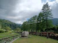 https://images.plurk.com/5RmwztPwNRkGh5RuIQzfgC.jpg