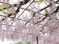 https://images.plurk.com/5SHKyuB6JhVcvw2ys7Q048.jpg