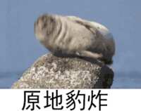 https://images.plurk.com/5SHf8LUcQOSCkmxKbqRORE.gif
