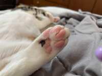https://images.plurk.com/5SOPQcOnxBwYfFMSrXbeBz.jpg
