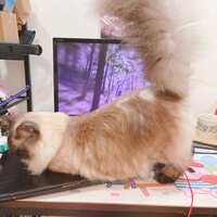 https://images.plurk.com/5STEE86dWPDIO1iDCqhgEH.jpg