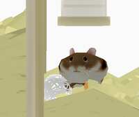 https://images.plurk.com/5SXcHfSY8zOuZfOAXpPUbH.png