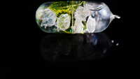 https://images.plurk.com/5SfO7jAqL6o1dIzC8xDVN7.jpg