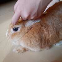 https://images.plurk.com/5SifVsPTZFiPeoMPhRdrEs.jpg