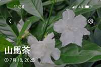 https://images.plurk.com/5Snvyx8FzCgARNA5CuV8X.jpg