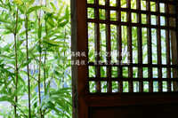 https://images.plurk.com/5T08G3W0FwcWhhqZg8Sf0a.jpg