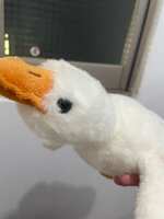 https://images.plurk.com/5TBNGlgDfP7qSJWcIzCXOb.jpg