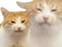 https://images.plurk.com/5TC3Oy56menPUgMMZVflVt.jpg