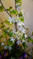 https://images.plurk.com/5TE99WekEcwENL2uziBRSh.jpg