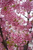 https://images.plurk.com/5TERfxWNuBGRd41nkCTEJg.jpg