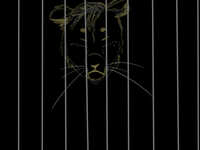 https://images.plurk.com/5TGLkFTfdaatyhorKMMJtX.jpg