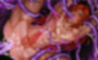 https://images.plurk.com/5TNoO8Cf7Bf5oZnNHWA8Kv.jpg